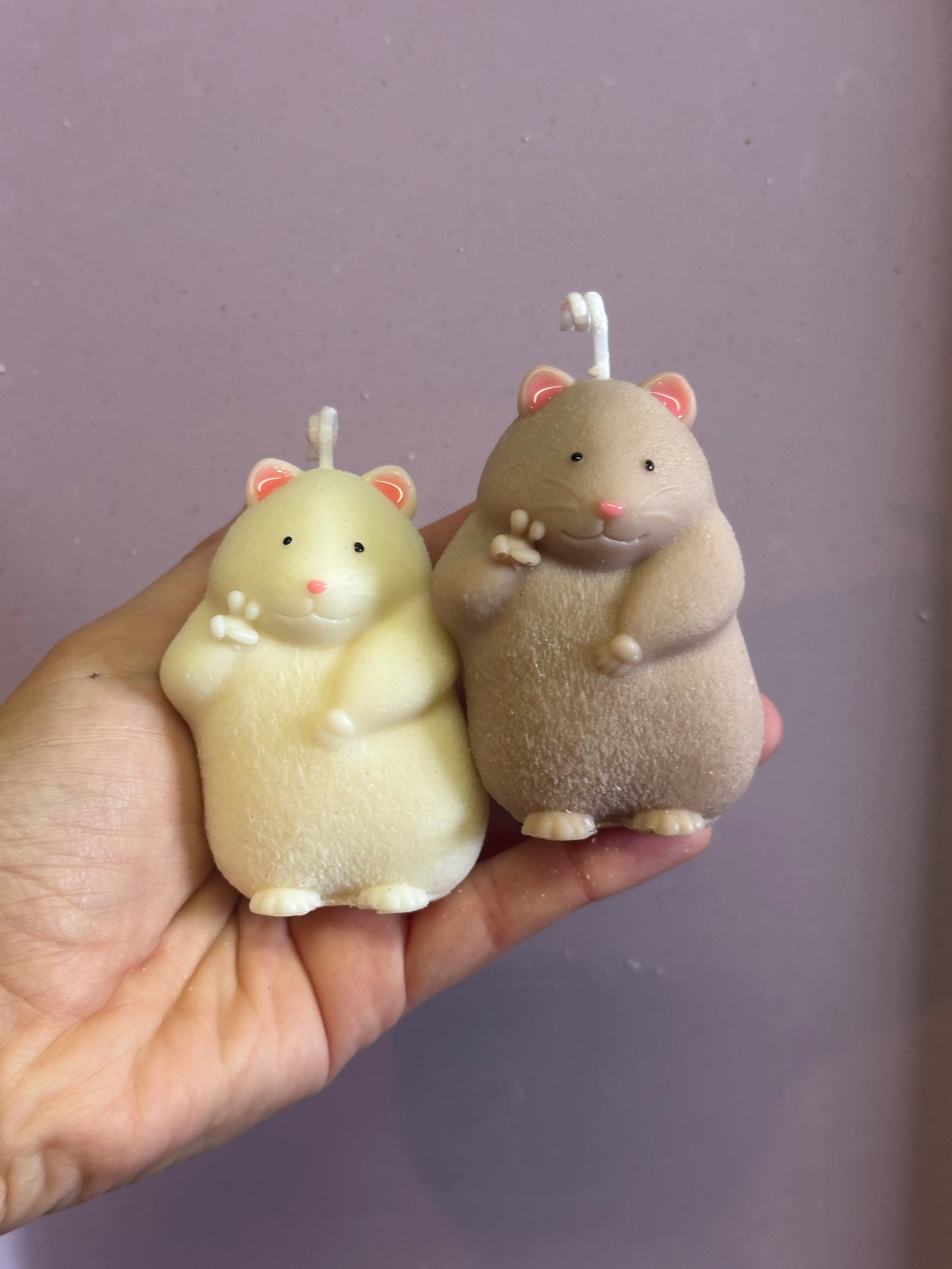 Silly hamster
